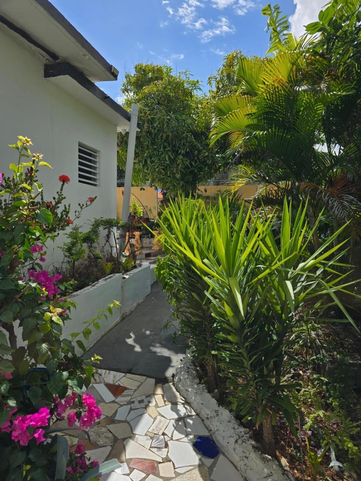 Paradise Palms Jamaica Vacation Rental مونتيغو باي المظهر الخارجي الصورة