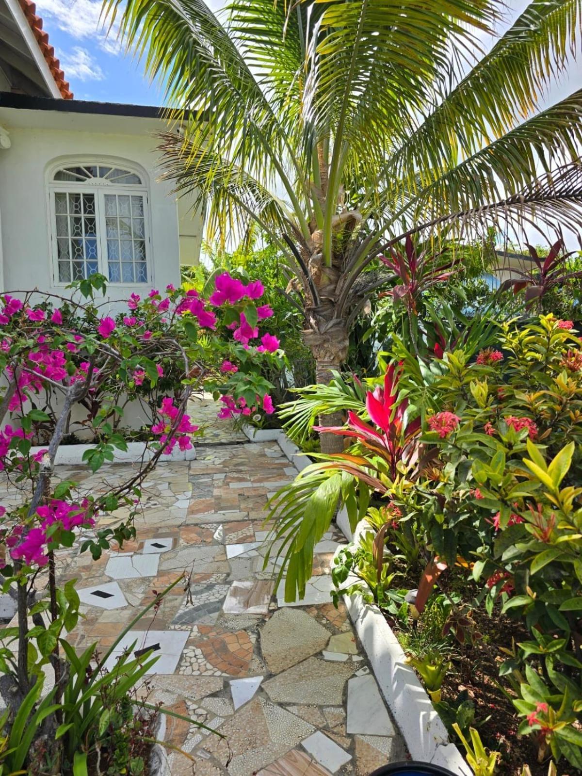 Paradise Palms Jamaica Vacation Rental مونتيغو باي المظهر الخارجي الصورة